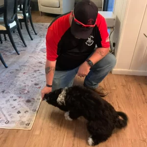 5 Week Local In-Home Training